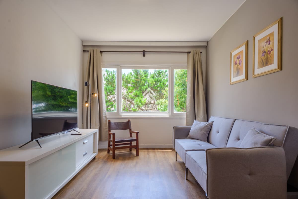 Apartamento ID.5787 - Alquiler apto 1 dormitorio en Peninsula