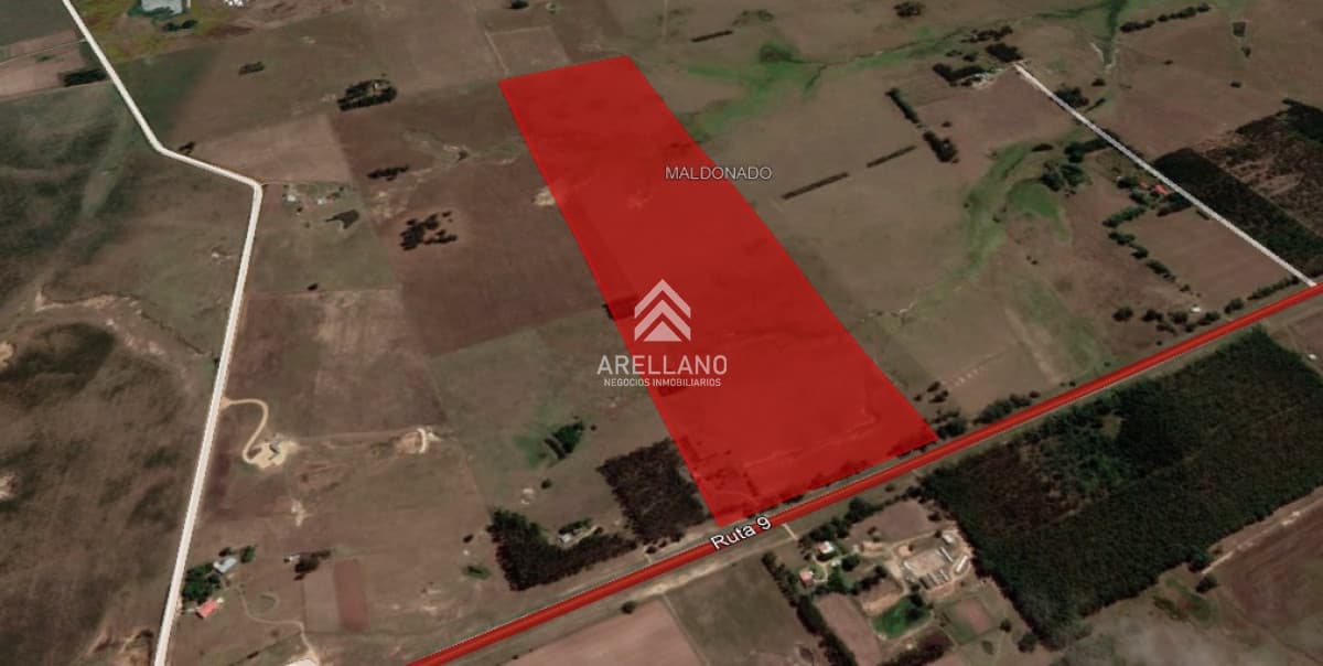 Chacra ID.354 - VENTA CHACRA 22HAS SOBRE RUTA 9