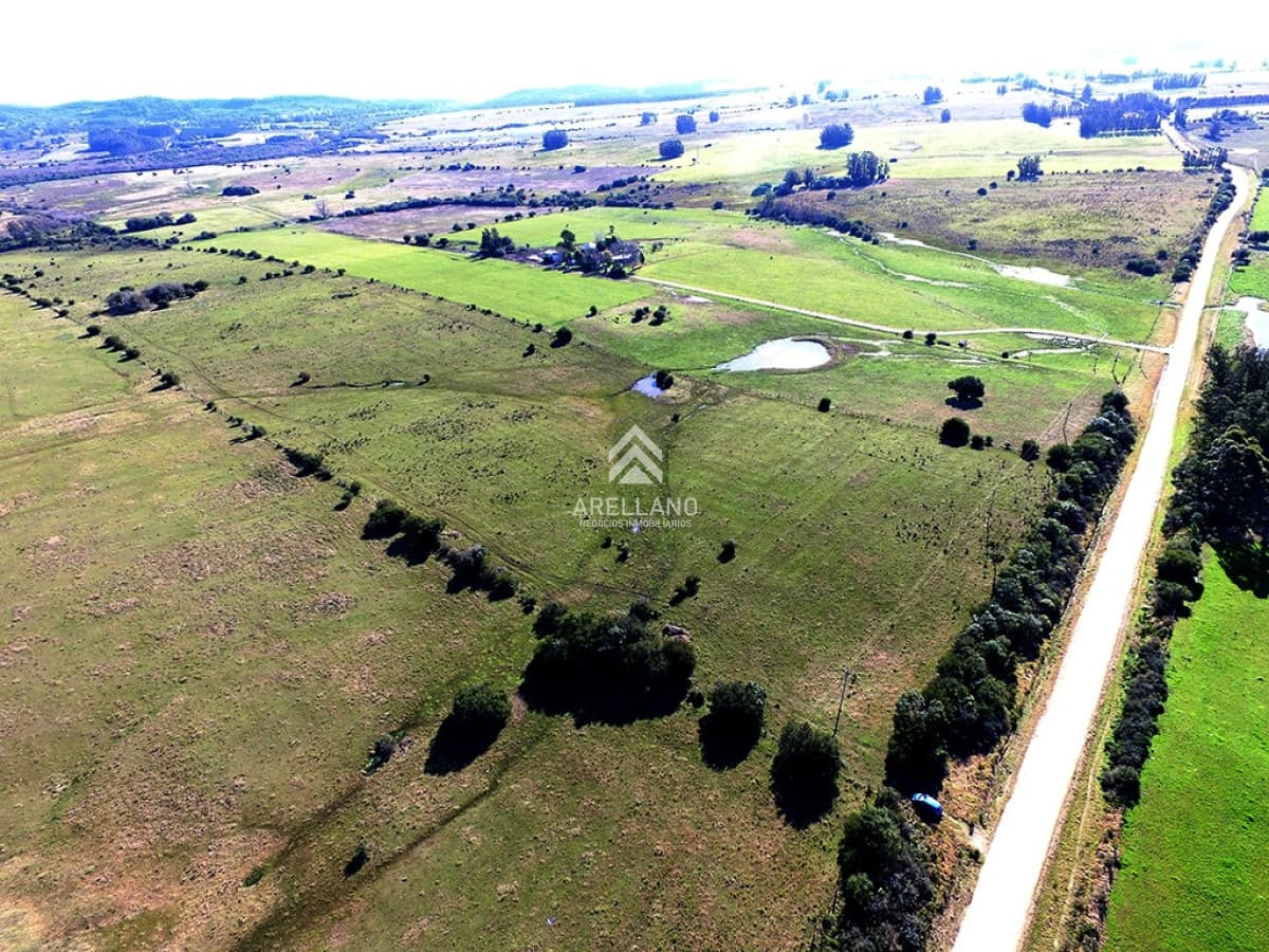 Campo Ref.1224 - Campo 22has proximo a San Carlos y Punta del Este