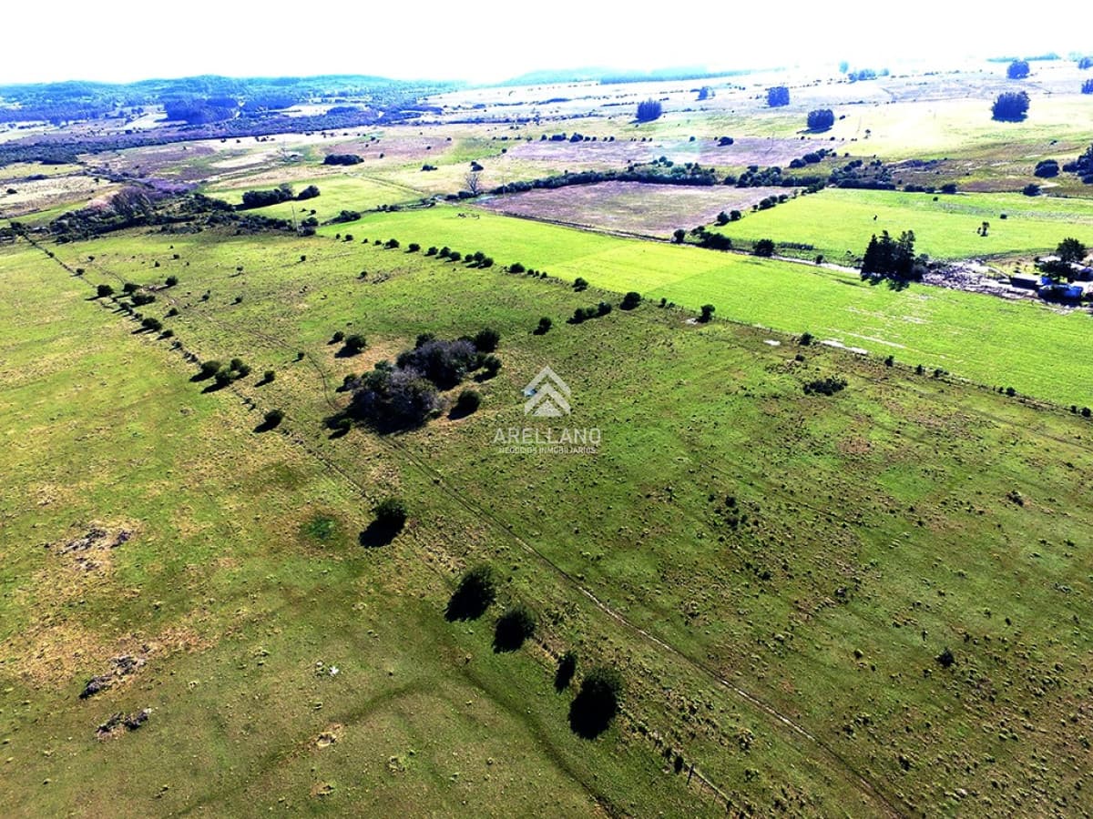 Campo Ref.1224 - Campo 22has proximo a San Carlos y Punta del Este