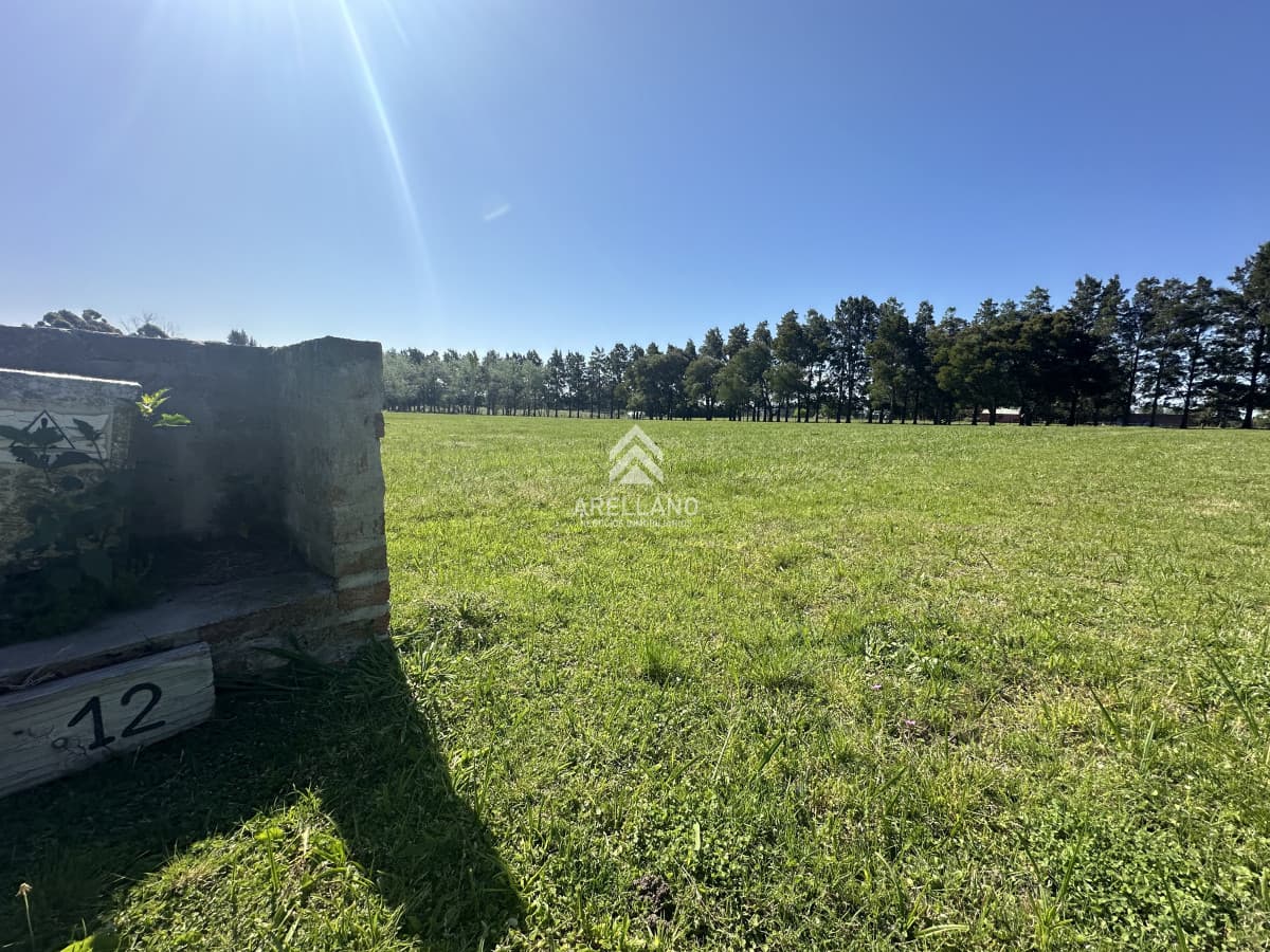 Terreno ID.4137 - Lote en venta, el quijote 5012m2, terreno en venta