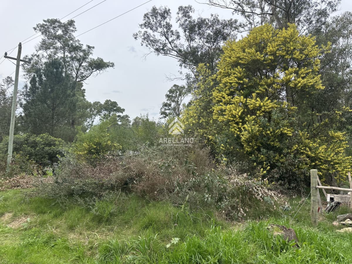 Terreno ID.3636 - Terreno Sauce de Portezuelo 539m2