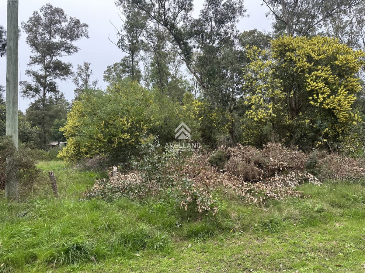 Terreno ID.3636 - Terreno Sauce de Portezuelo 539m2