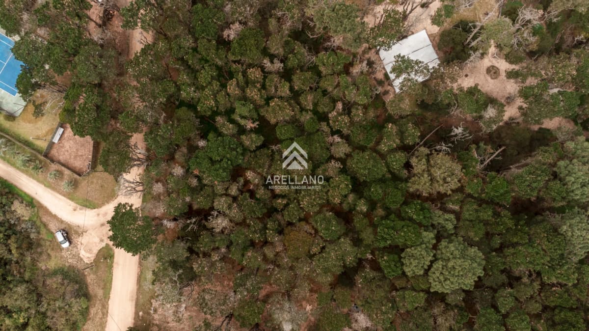 Terreno ID.7049 - Terreno en Pueblo San Vicente 699m2