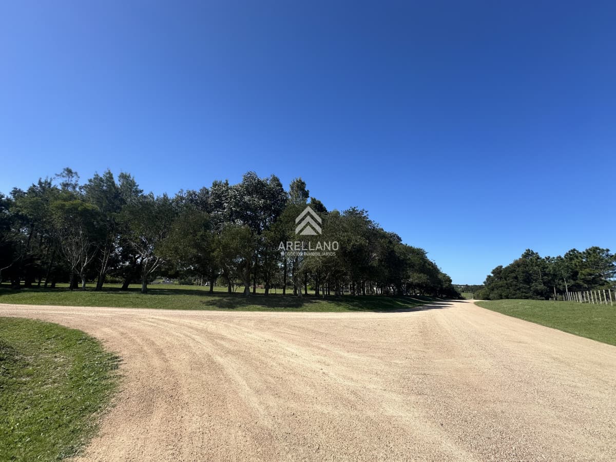 Terreno ID.4138 - Venta terreno en el quijote 6499m2 , lote en el quijote, Punta del Este