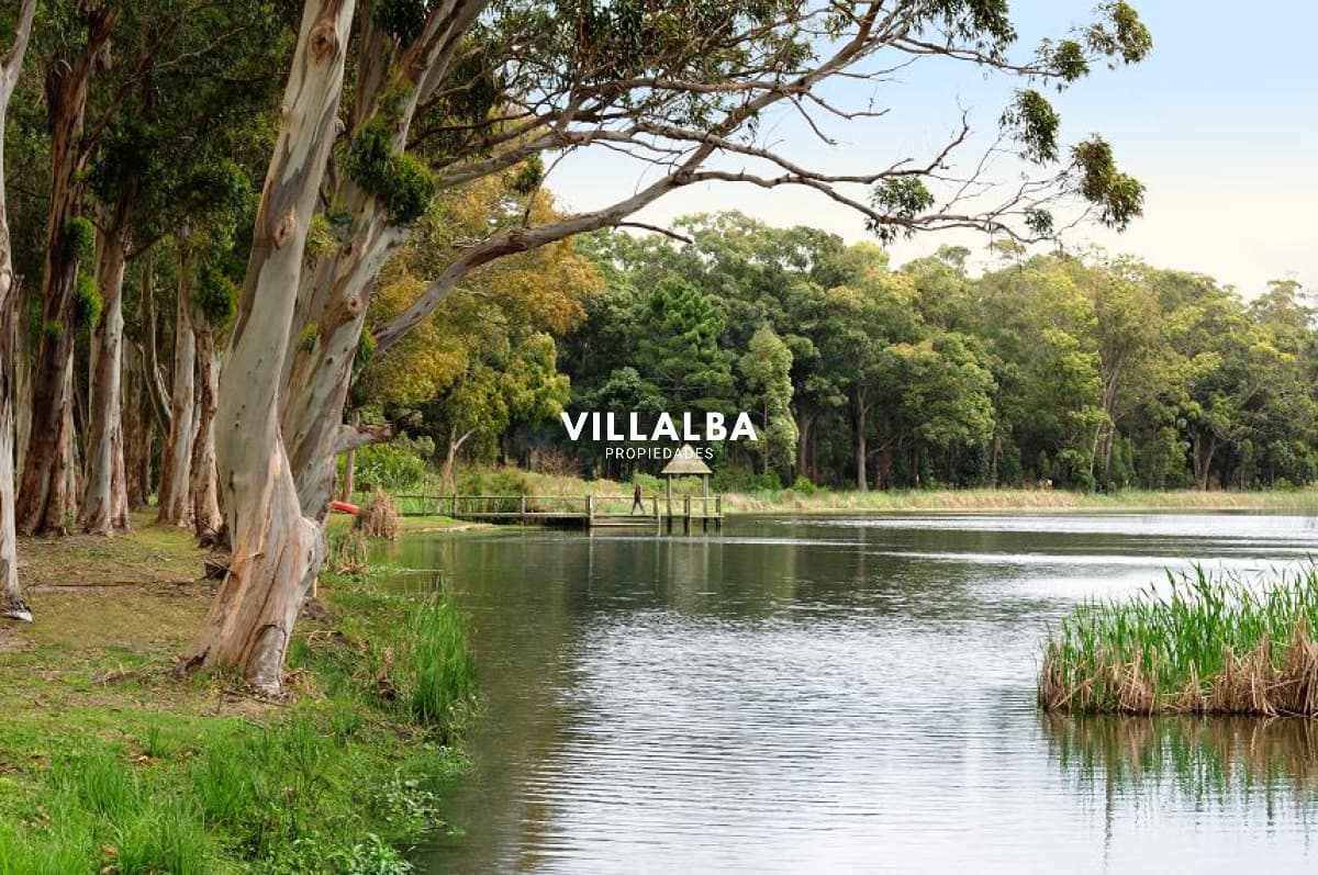 Laguna Blanca