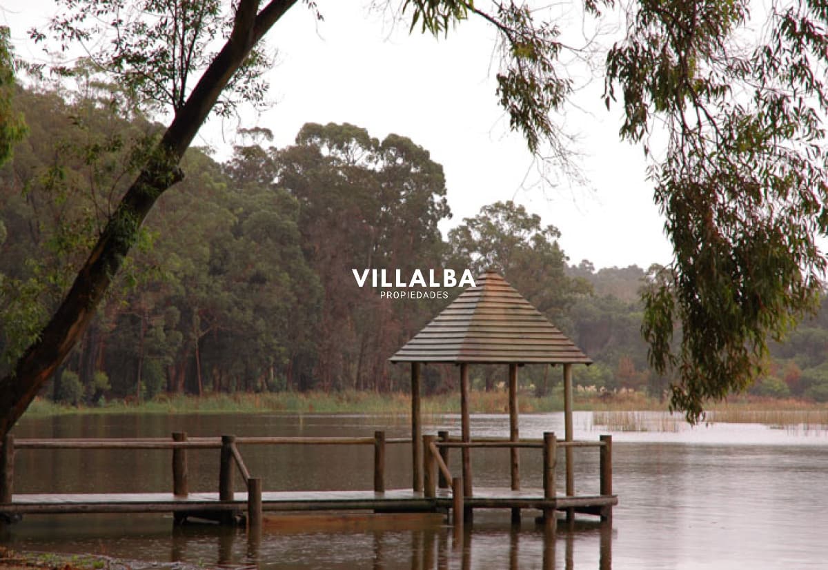 Laguna Blanca