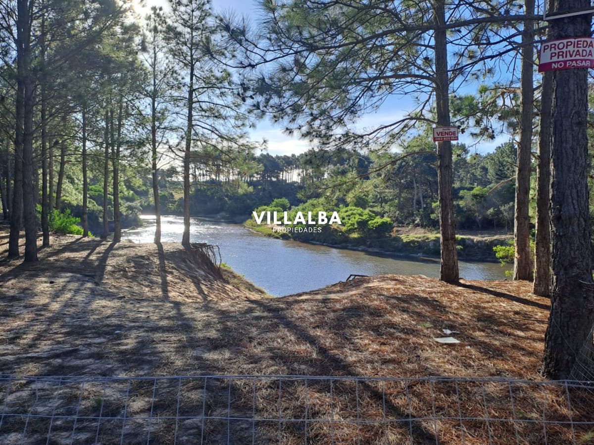 Terreno en venta  - PUNTA BALLENA