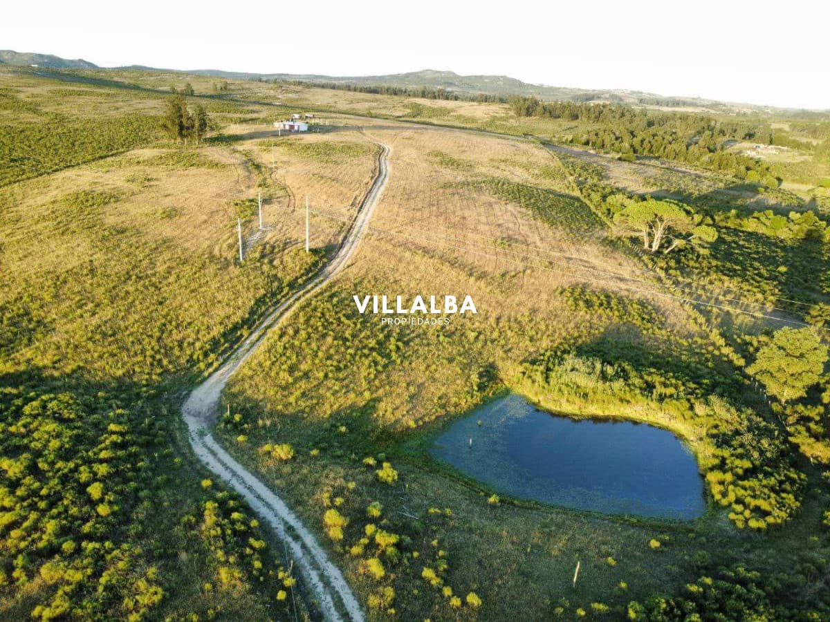 Chacra con 15 hectareas, ideal para disfrutar de la tranquilidad del campo.