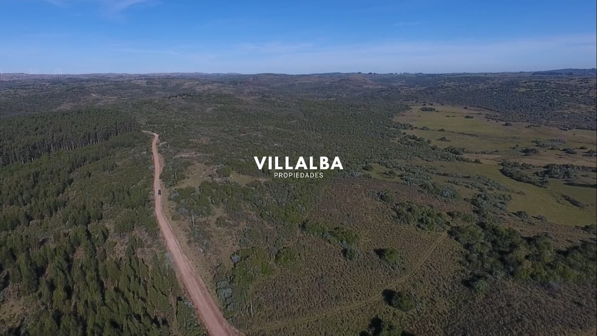 Chacra de 5 hectáreas rodeado de plena naturaleza