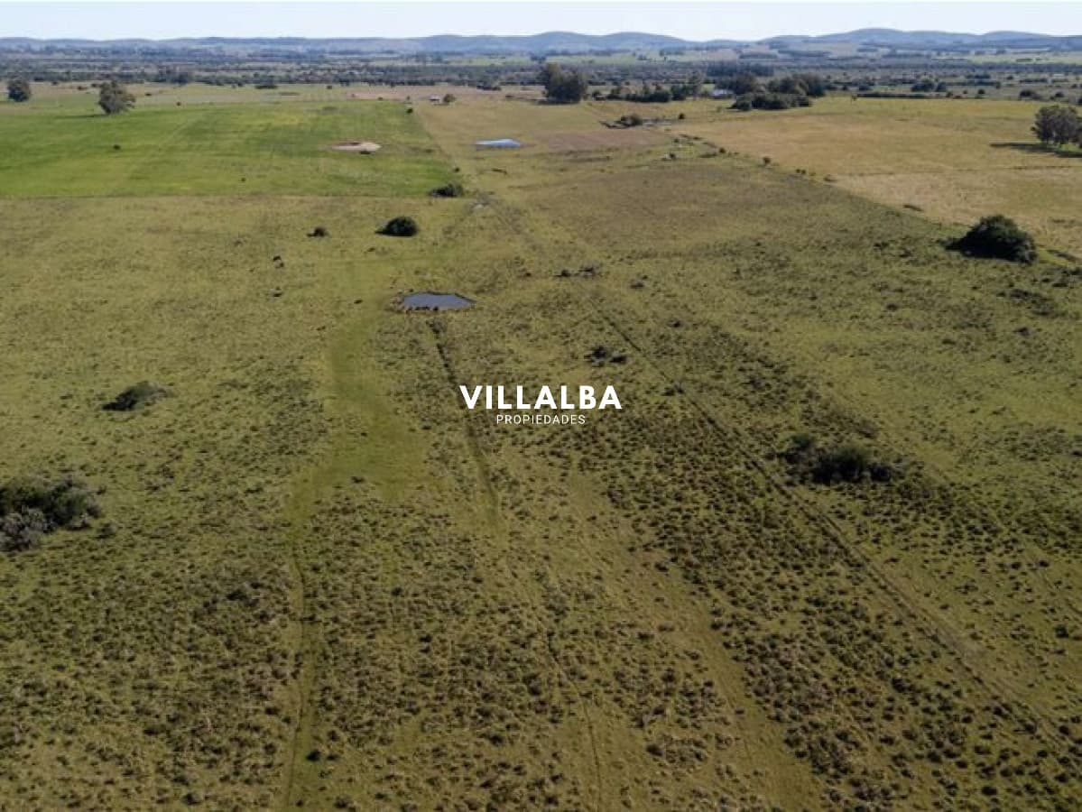 - Villalba Propiedades