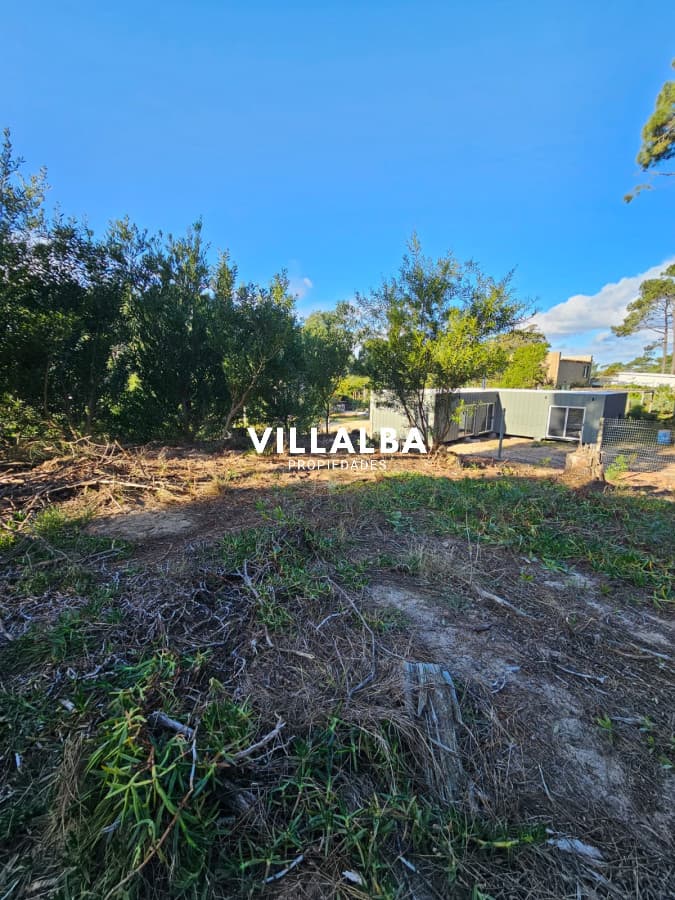 Terreno de 1034 m² a solo 500 mts del mar – Un rincón de paz natural
