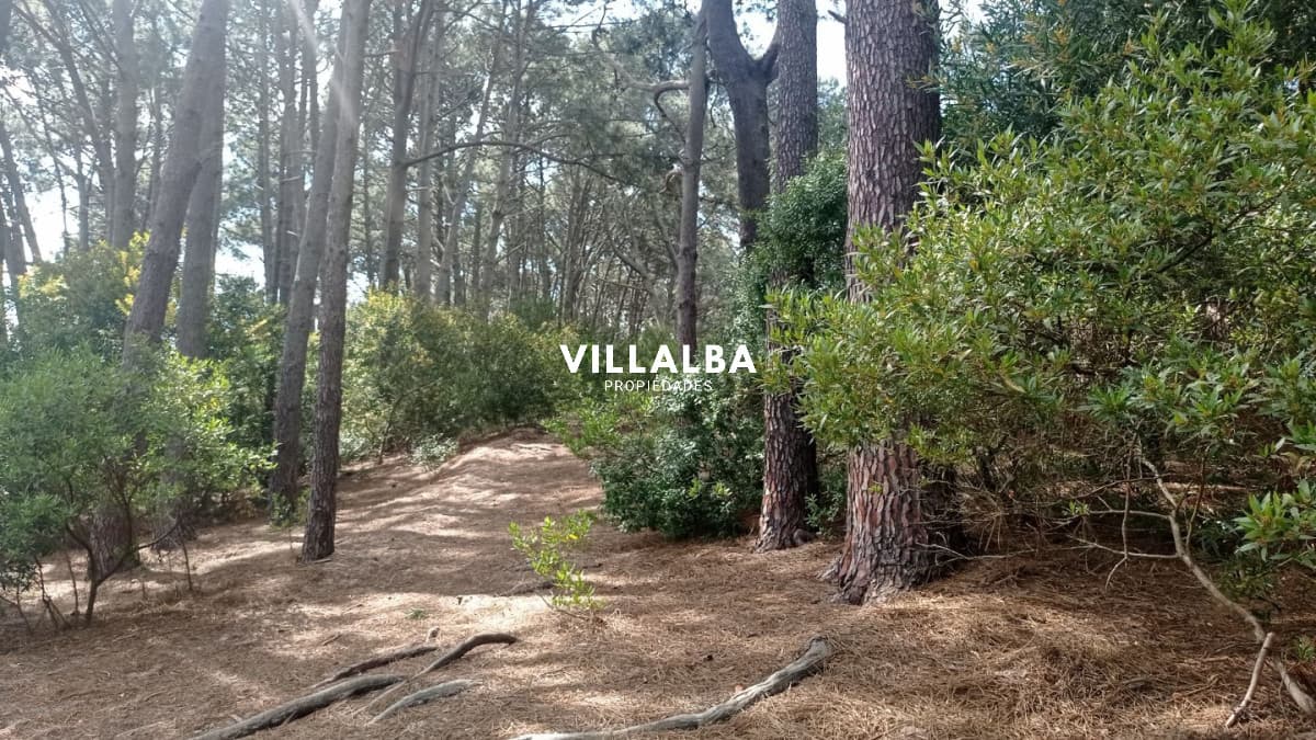 Lotes en Venta- Ideal emprendimiento