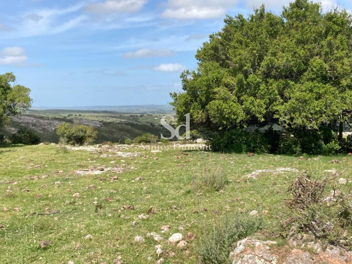 EXCELENTE OPORTUNIDAD! VENTA CHACRA 5 has