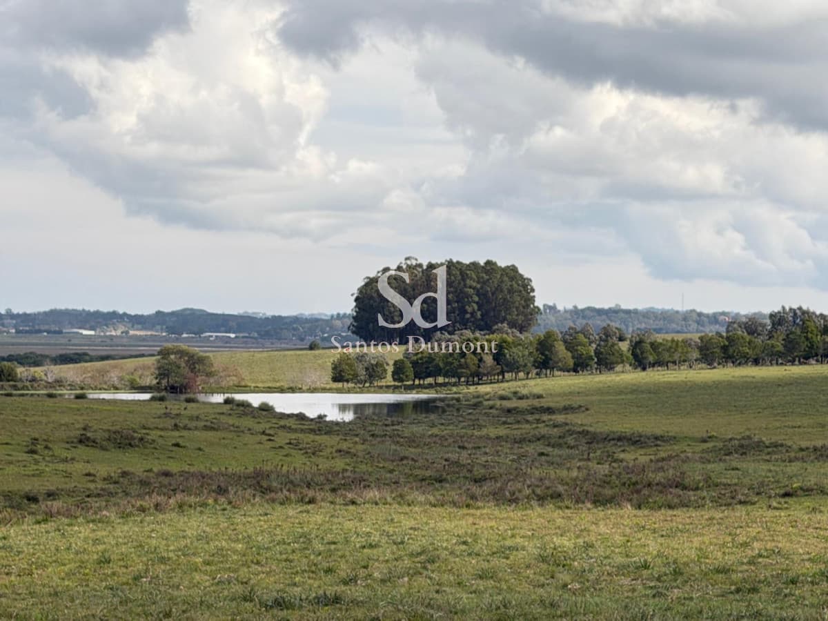 EXCELENTE CAMPO EN VENTA