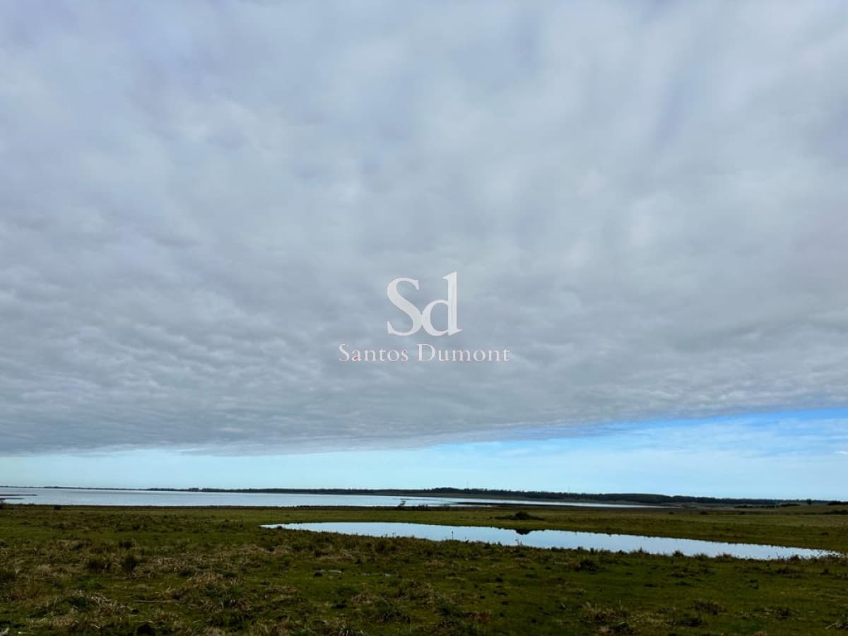 VENTA - JOSE IGNACIO