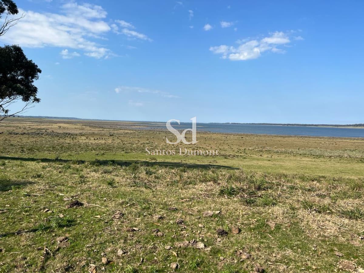 VENTA - JOSE IGNACIO