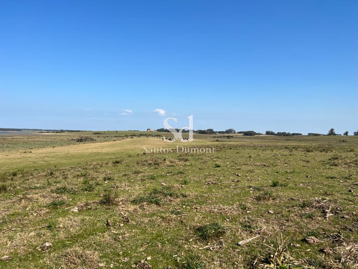 VENTA - JOSE IGNACIO