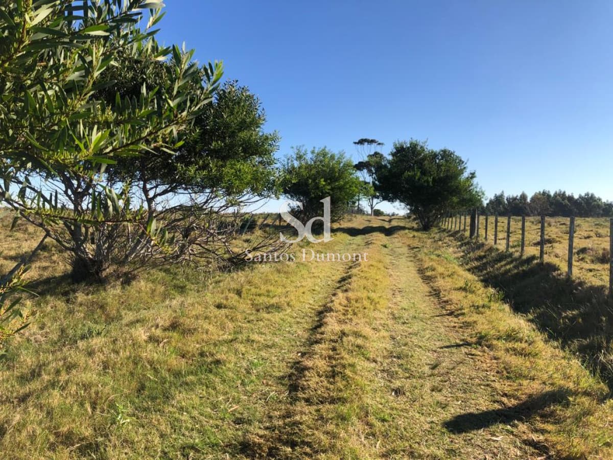 CAMPO EN VENTA