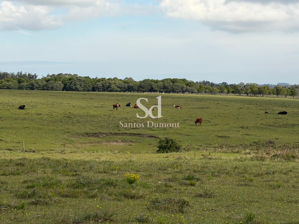 EXCELENTE CAMPO EN VENTA