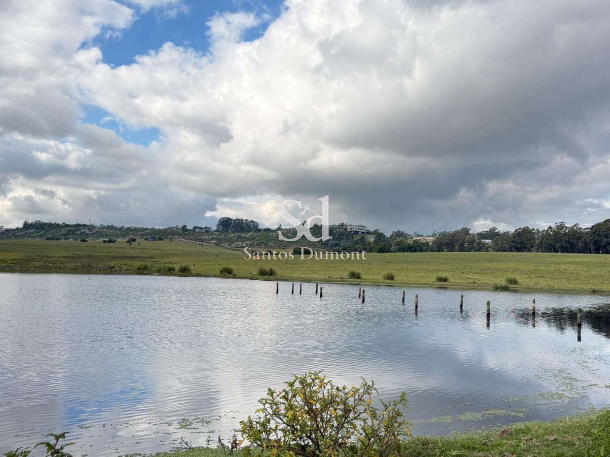 EXCELENTE CAMPO EN VENTA