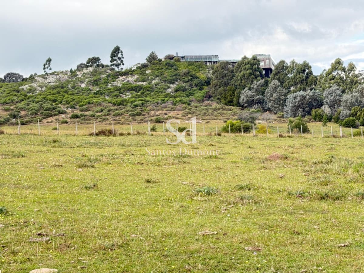 EXCELENTE CAMPO EN VENTA