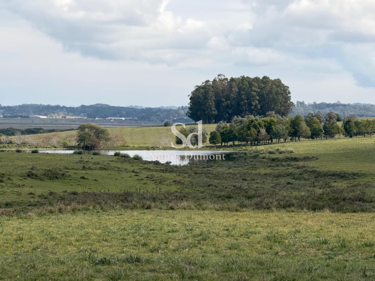 EXCELENTE CAMPO EN VENTA