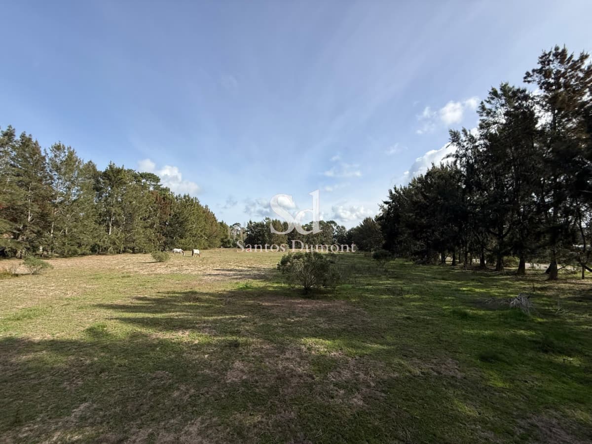 Lotes en Marly Punta del Este