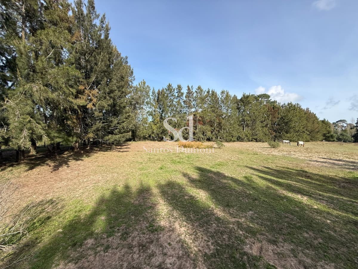 Lotes en Marly Punta del Este