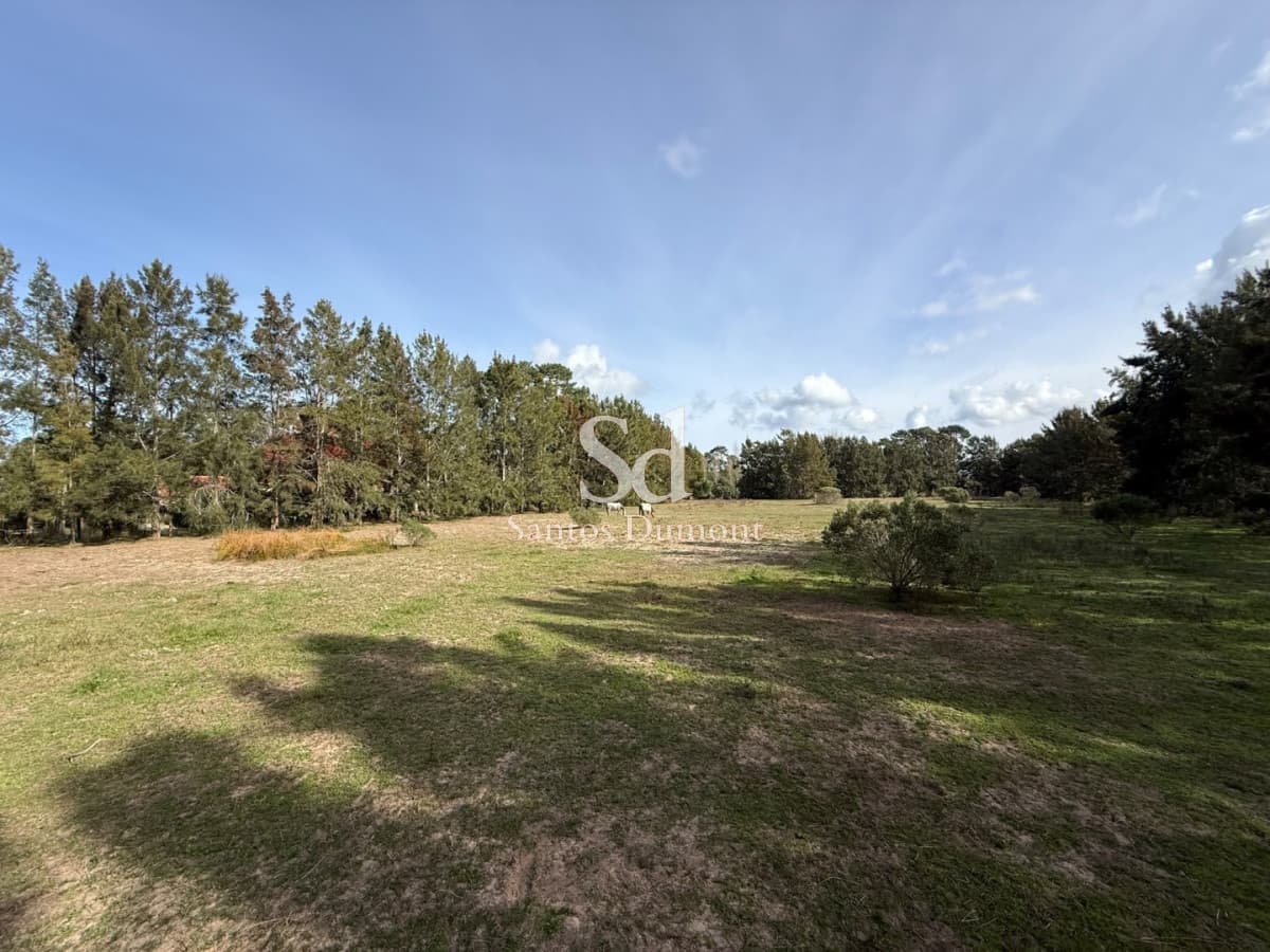 Lotes en Marly Punta del Este