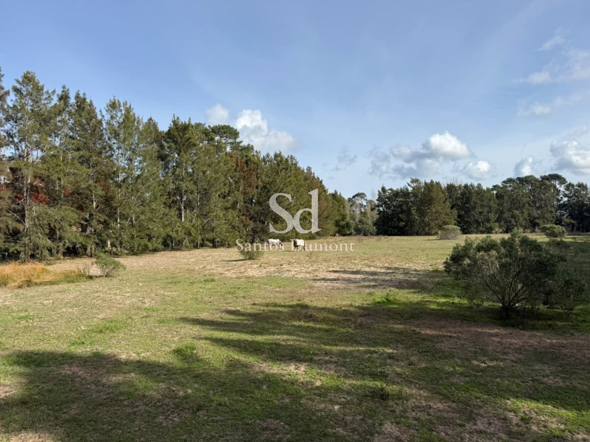 Lotes en Marly Punta del Este