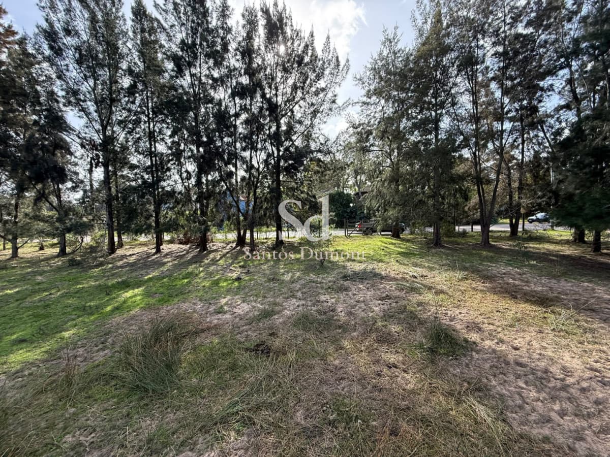 Lotes en Marly Punta del Este