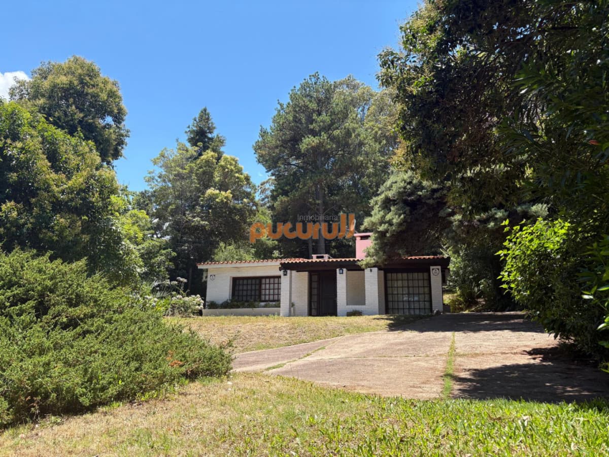 Rinconada