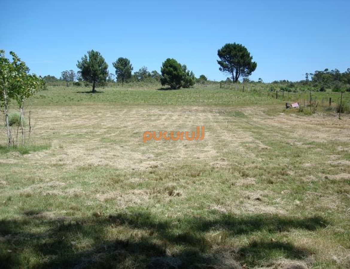 OPORTUNIDAD bajó de precio!  con casita a reclicar