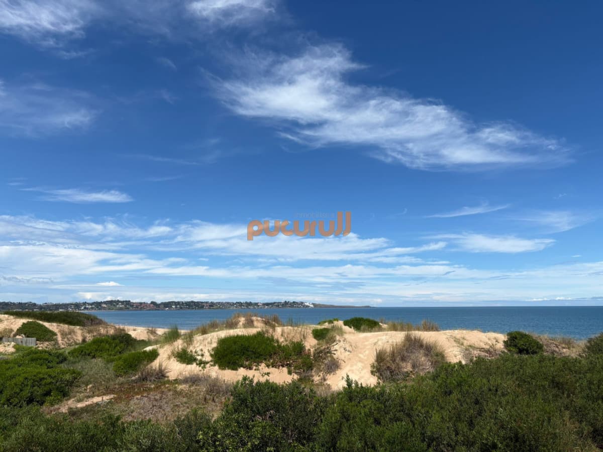 Casa en Punta Ballena, Tio Tom