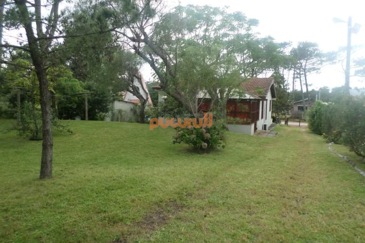 Casa en Punta Ballena, Tio Tom