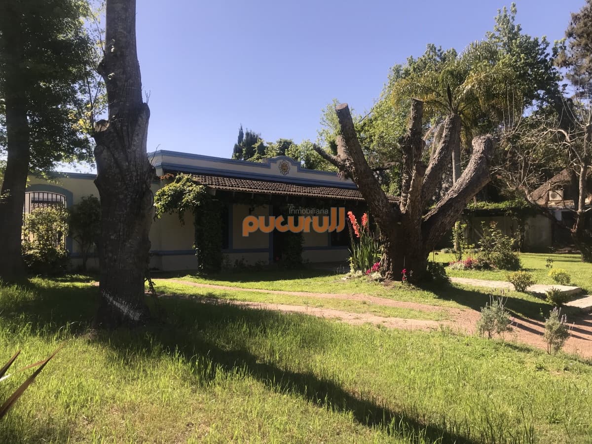 Casa en Punta Ballena, Solanas
