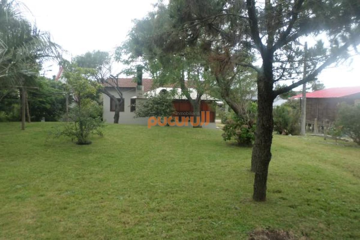 Casa en Punta Ballena, Tio Tom