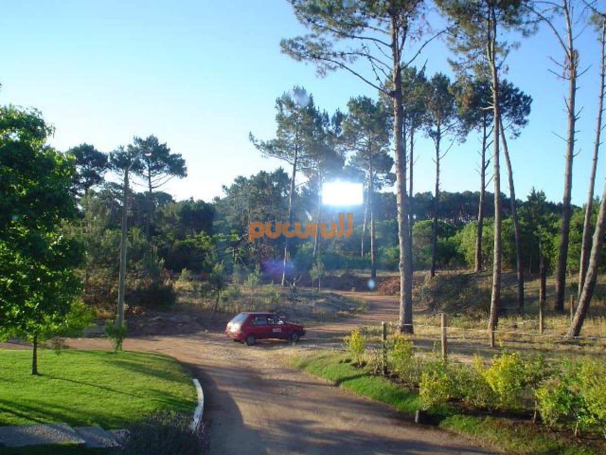 Casa en Punta Ballena, Portezuelo Bosque