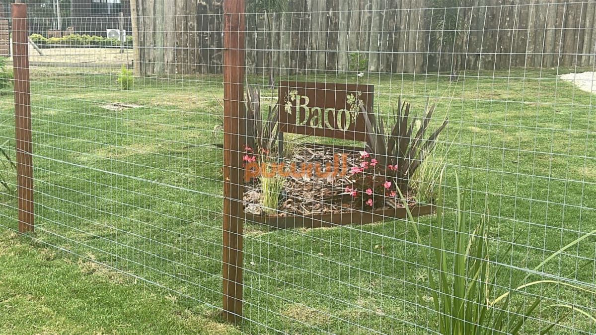Casa Baco