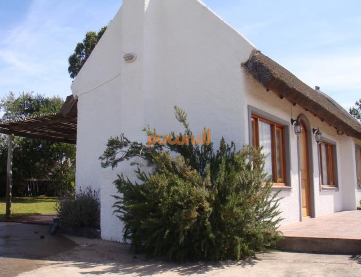 Casa en Punta Ballena, Tio Tom