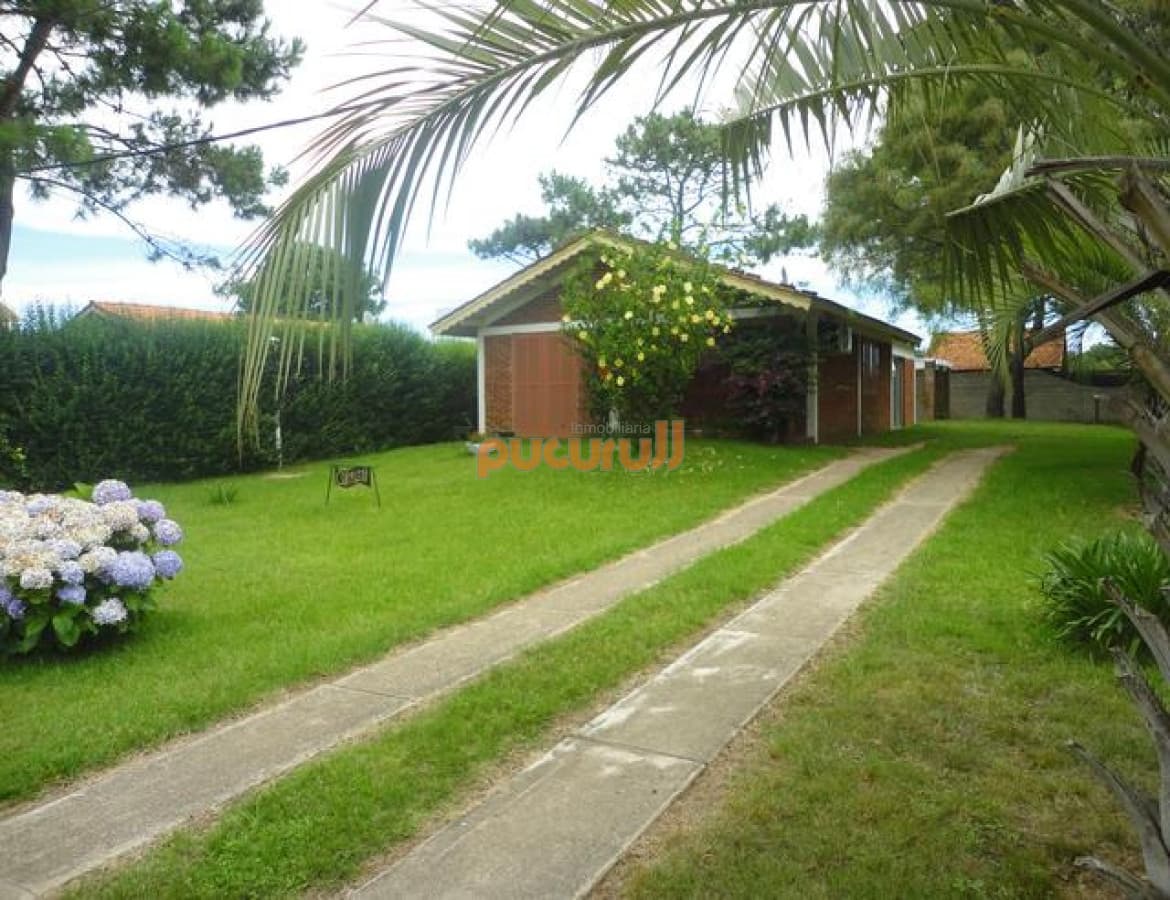 Casa en Punta Ballena, Tio Tom