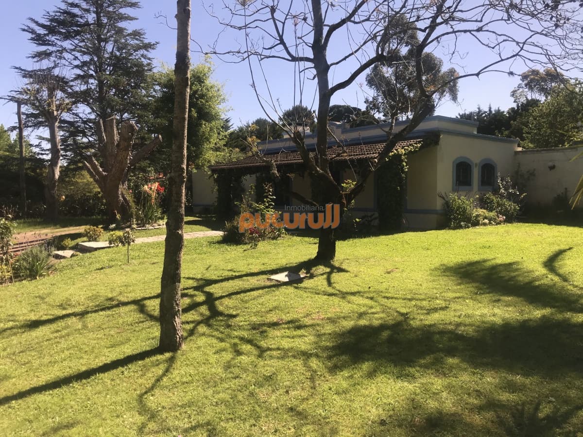 Casa en Punta Ballena, Solanas