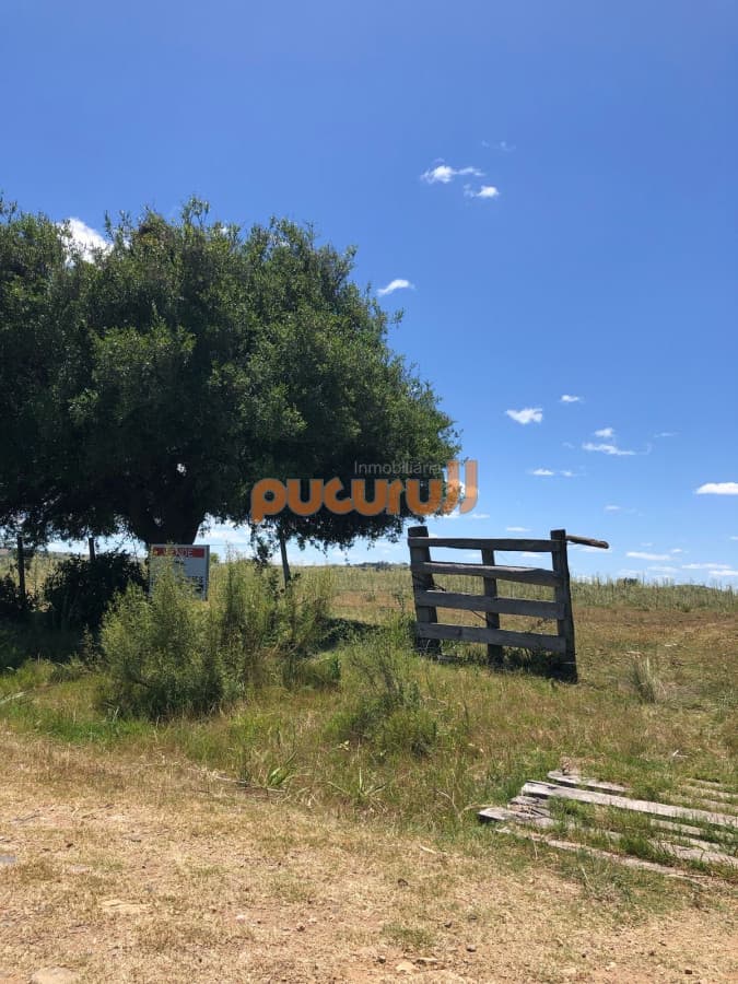 Chacras o Campos en Pueblo Edén
