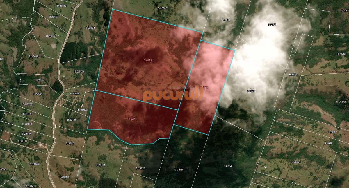 Unicas 150 hectáreas en un lugar excepcional; entre Maldonado y Minas! Sierra del Carapé