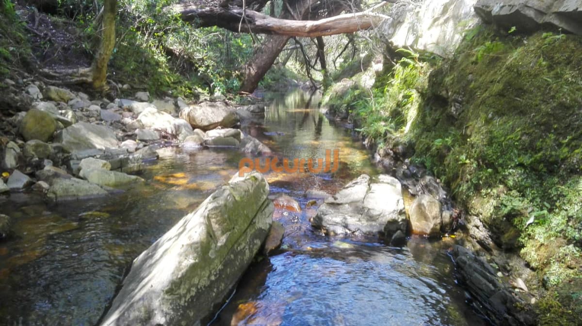 Unicas 150 hectáreas en un lugar excepcional; entre Maldonado y Minas! Sierra del Carapé