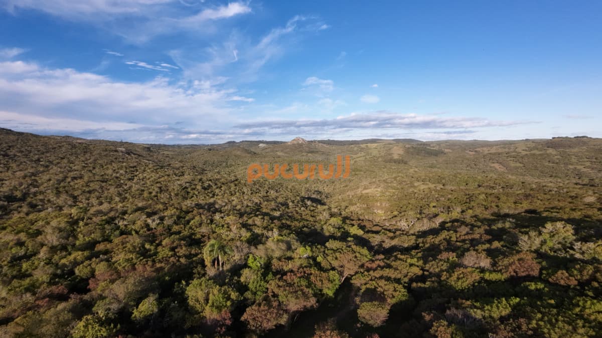 Unicas 150 hectáreas en un lugar excepcional; entre Maldonado y Minas! Sierra del Carapé