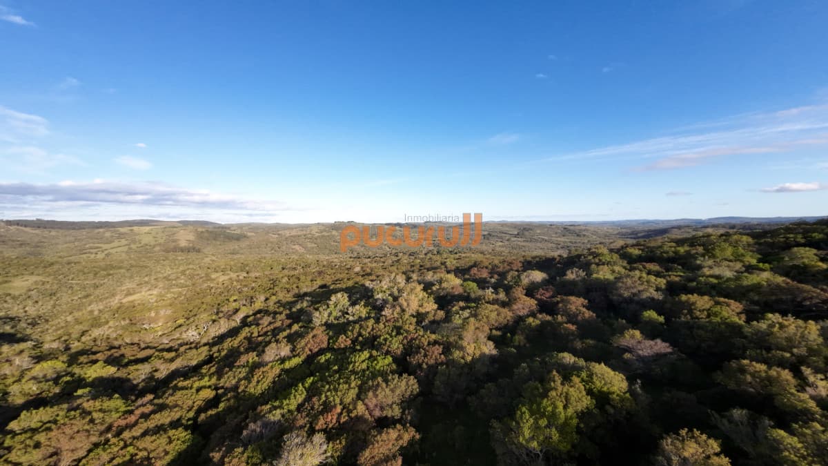 Unicas 150 hectáreas en un lugar excepcional; entre Maldonado y Minas! Sierra del Carapé