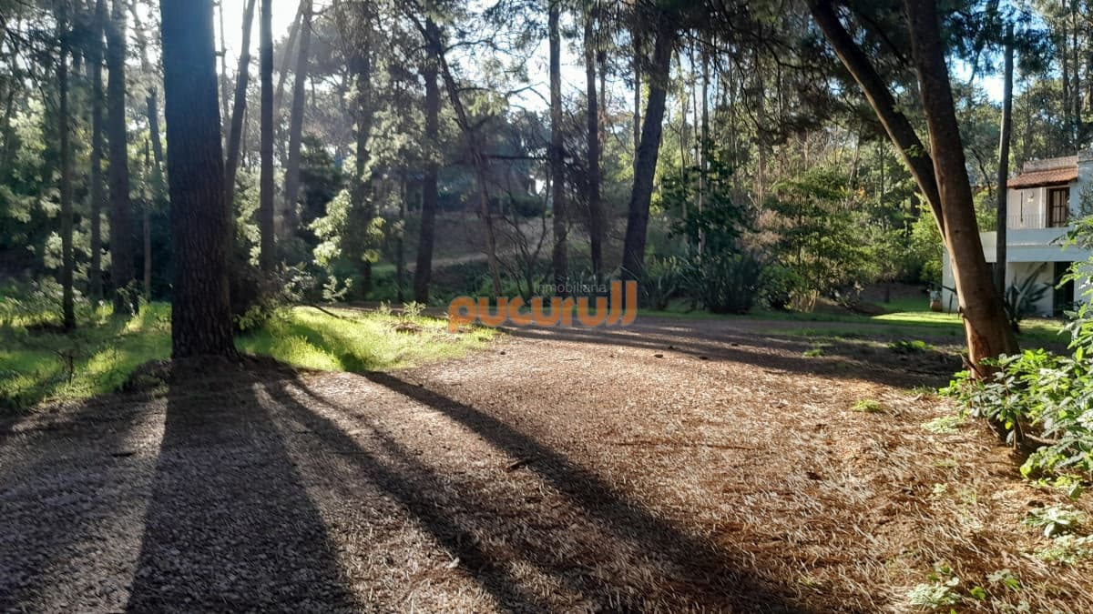 Excelente Entorno de bosque!
