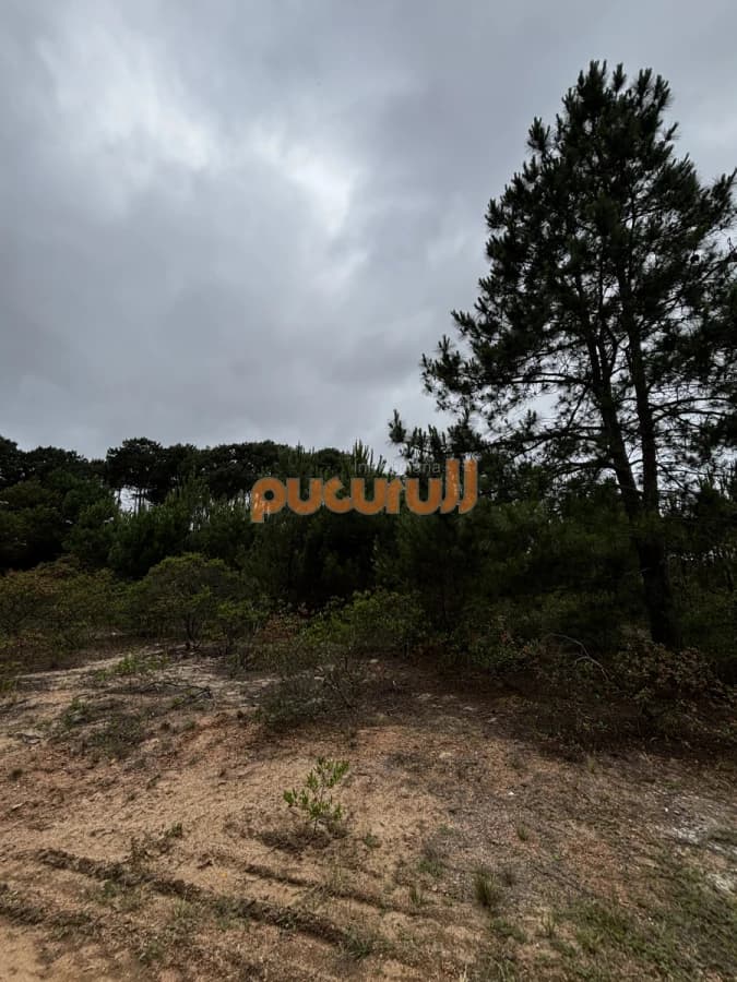 Terreno en Punta Ballena, Chihuahua